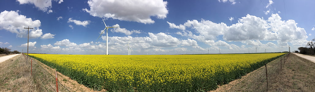 green grass field under cloudy sky thumbnail