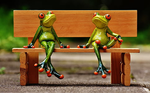 two frogs sitting on wooden bench thumbnail