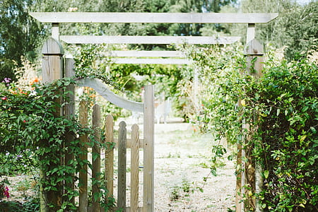 white wooden garden arc thumbnail
