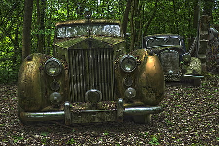 vintage cars surrounded by trees thumbnail