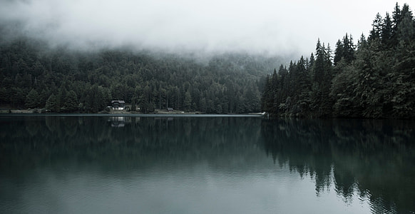 photo of body of water under cloudy sky thumbnail