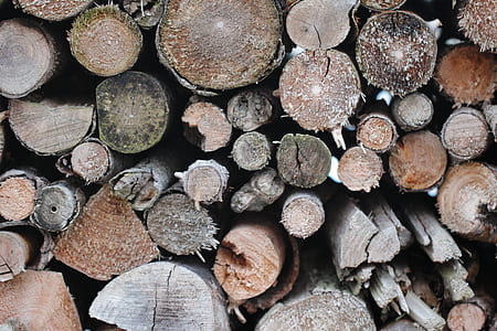 file of brown fire woods thumbnail