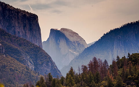 dawn, landscape, nature, trees thumbnail