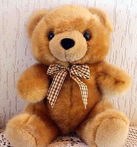 brown teddy bear thumbnail