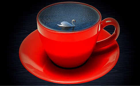 red ceramic teacup and saucer thumbnail