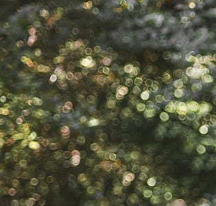 bokeh, green, lights, circle thumbnail