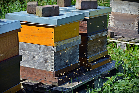 two stack boxes on top of pallet in middle of green grass field thumbnail
