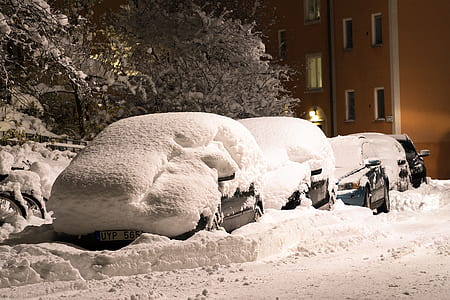 snow-covered parked cars thumbnail