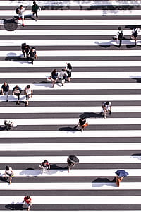 aerial photography of people walking on pedestrian lane thumbnail
