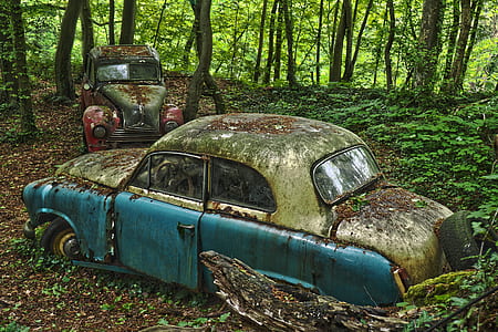 two wrecked cars surrounded by trees thumbnail