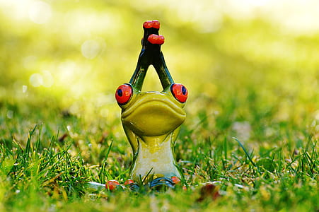 frog raising both hands thumbnail