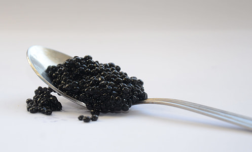 black beans on spoon thumbnail
