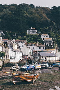 boats near city in forest thumbnail