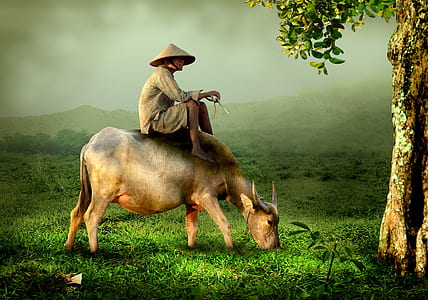 man in white dress shirt wearing hat on brown co thumbnail