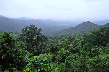 aerial photography of mountain with trees thumbnail