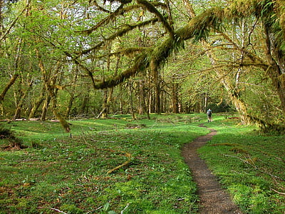 green grass field and path thumbnail
