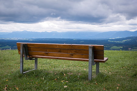 bench surrounded by grass thumbnail