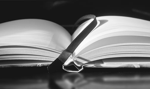 greyscale photography of bookpage thumbnail