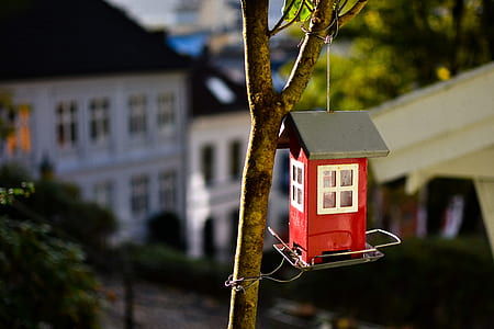 red and white wooden birdhouse thumbnail