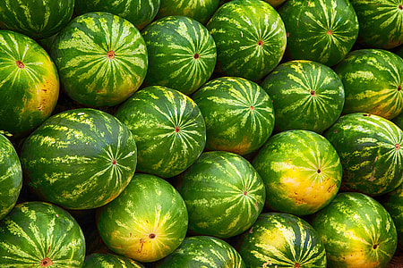 close-up photo of bunch of watermelons thumbnail