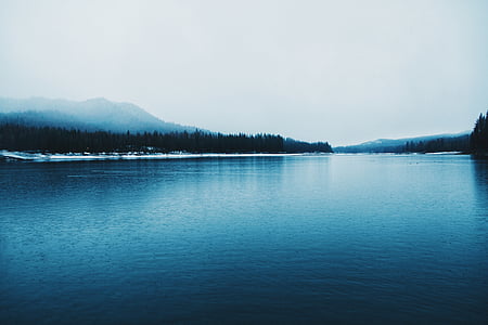 body of water in between trees thumbnail