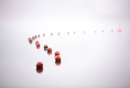 photo of brown nuts aligned thumbnail