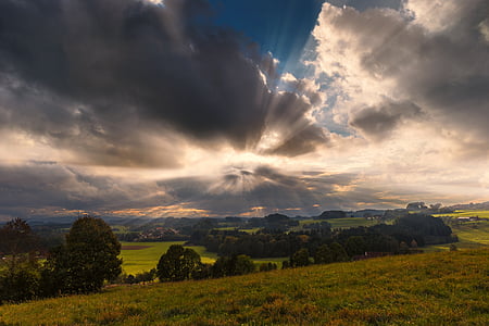 crepuscular rays on trees thumbnail