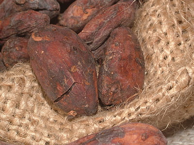 taro lot thumbnail