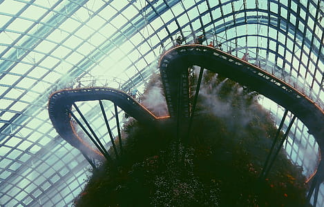 Walkway on Top of Indoor Garden thumbnail