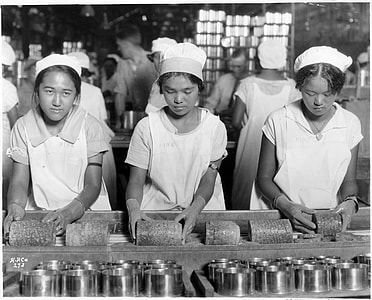 Young women packing pineapples in Hawaii thumbnail