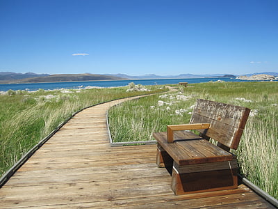 photo of bench on wooden pathway near grass field thumbnail