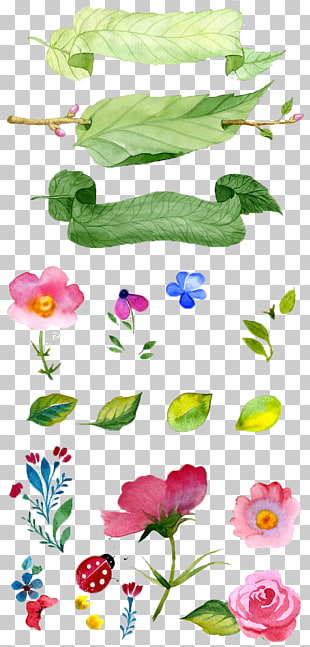 Watercolor painting Flower Illustration, Hand-painted flowers, leafs and flowers illustration PNG clipart