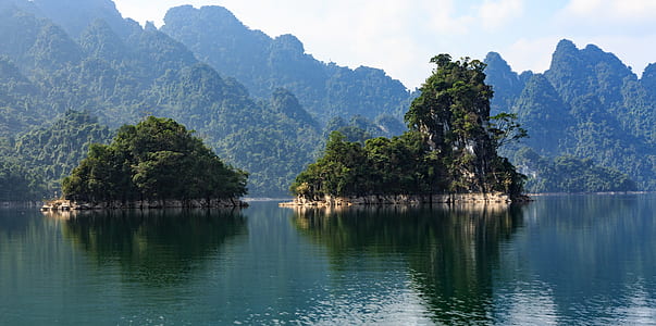 green leafed trees on body of water thumbnail