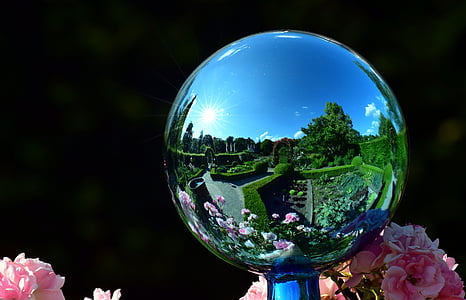 close-up photo of ball reflecting topiary thumbnail