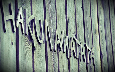 Kahunamatata wall decor thumbnail