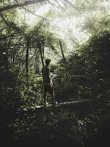 man in white tank top standing on wood log under green leafed trees thumbnail
