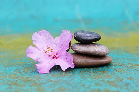 pink petaled flower near pebble monolith thumbnail