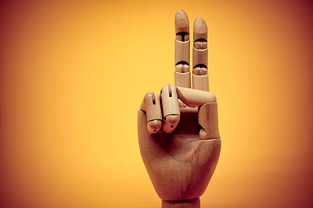 brown wooden puppet hand thumbnail