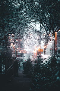 photo of snowy street during daytime thumbnail