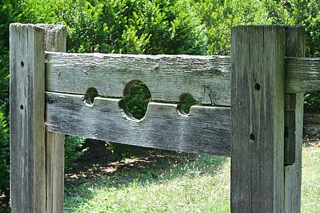 beige wooden stand near green leafed trees at daytime thumbnail