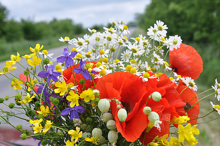 red poppies, purple irises, and white chamomiles bouquet thumbnail
