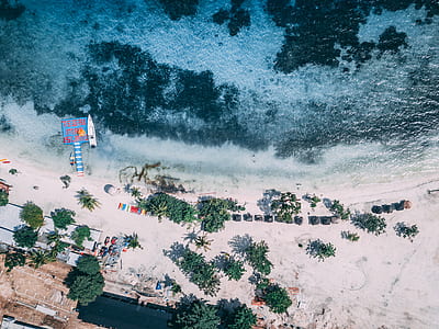 aerial photography of green trees near blue ocean during daytime thumbnail
