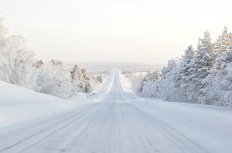 clear roadway between trees covered by snow thumbnail