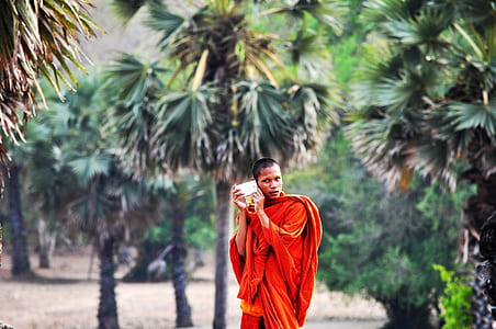 monk holding case near tree thumbnail