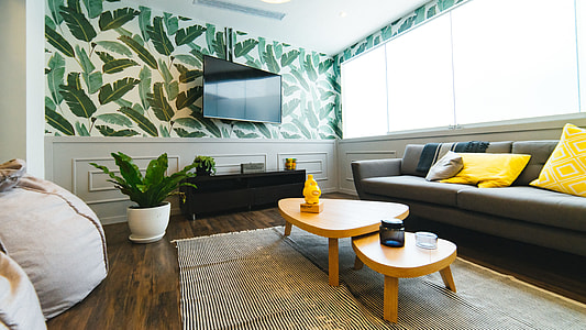living area with plants thumbnail