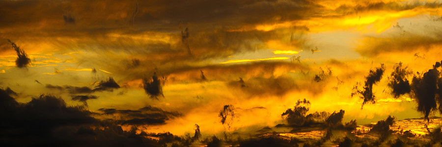 photo of a sunset with trees and clouds thumbnail