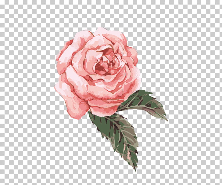 Flower Watercolor painting , Hand-painted watercolor flower pink, pink rose PNG clipart