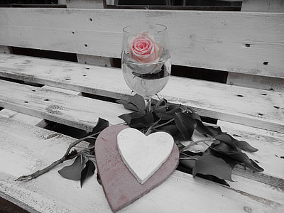selective color photography of pink rose in long-stem drinking glass thumbnail