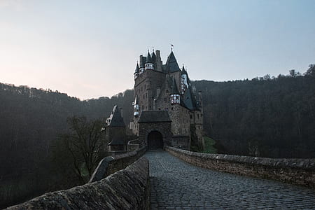 landscape photography of castle with bridge thumbnail