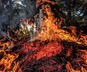 Orange Fire thumbnail